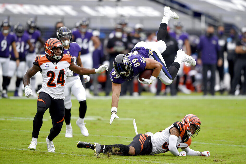 APTOPIX Bengals Ravens Football